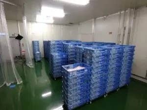 出荷待ち
